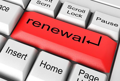 ホームページのリニューアルで成果を高める! 見直しのタイミングと成功の秘訣